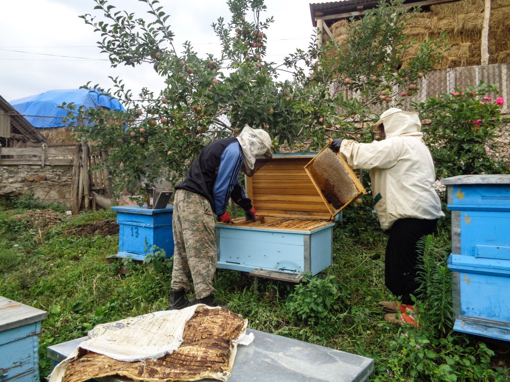 Լուսանկարը՝ Սերինե Հարությունյանի