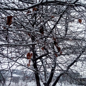 Լուսանկարը՝ Լիլիթ Խլղաթյանի