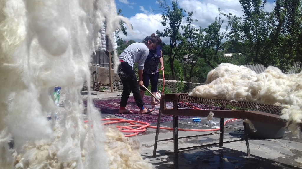 Լուսանկարը՝ Սեդա Մխիթարյանի