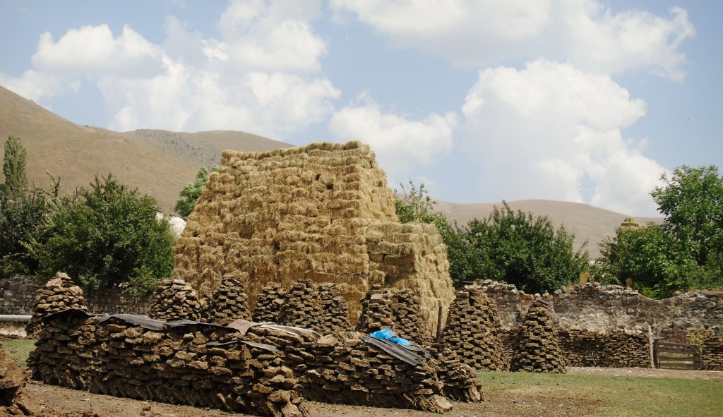 Լուսանկարը` Զարա Ղազարյանի