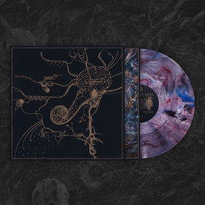 The Anthropic Sophisms (DMP Exclusive)