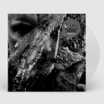 Pre-Order: En Skog av Nidstang (Clear)