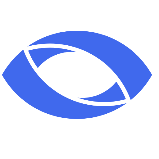 Blackthorn Vision