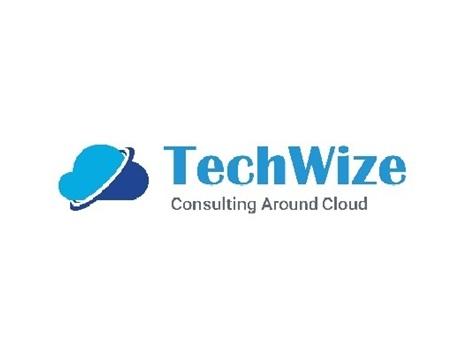 TechWize
