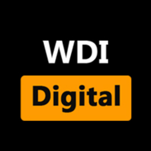 Website Developer India