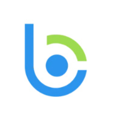Bloom Consulting Services