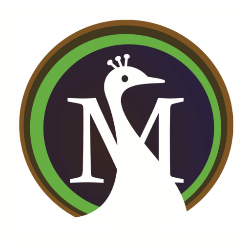 Moreweb Solutions