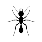 ANT Developers