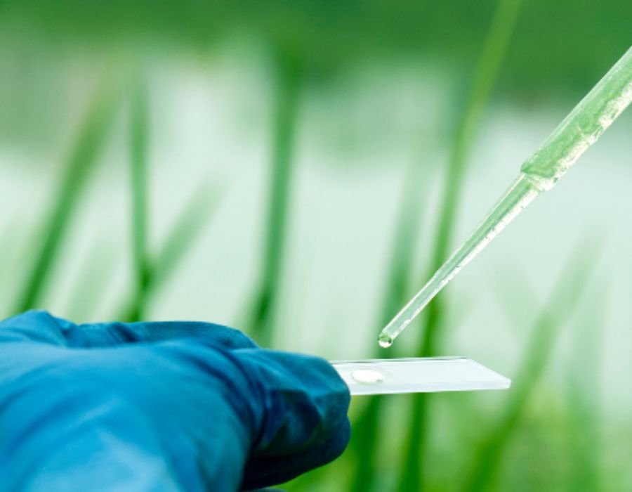 Using AI to Unleash the Potential of Preclinical Data Portfolio Image