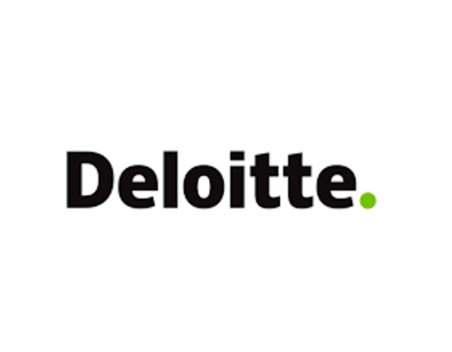 AI-Powered Public Health Data Platform for Deloitte Portfolio Image