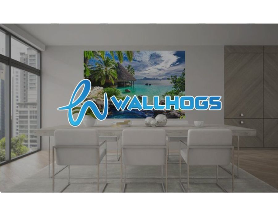 E-commerce Sales Growth for Wallhogs Through Social Media Ads Portfolio Image
