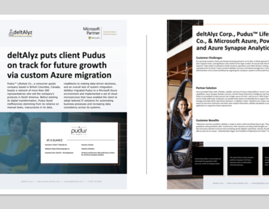 Pudus Digital Transformation Journey Portfolio Image
