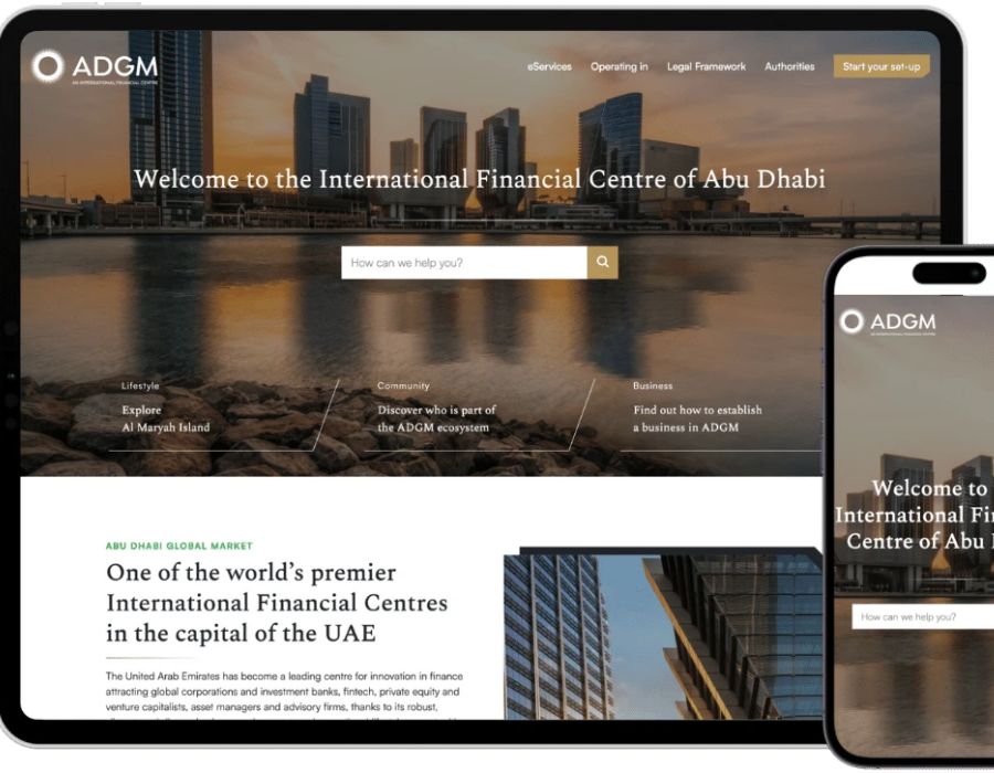 Portfolio Image