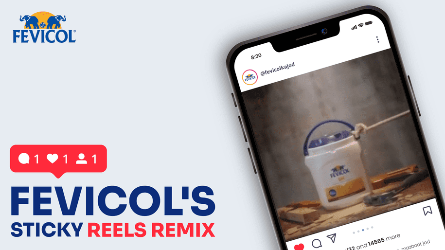 Instagram Reels Campaign for Fevicol Portfolio Image