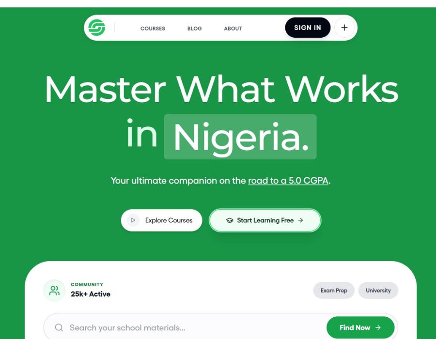 LearnNaija Portfolio Image