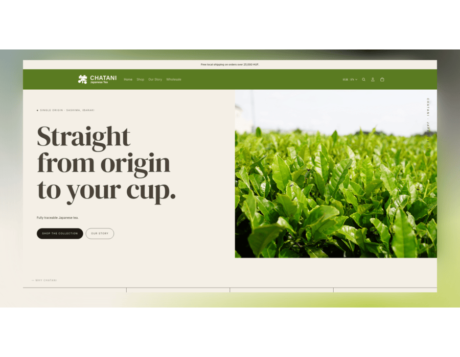 Chatani Cha Portfolio Image