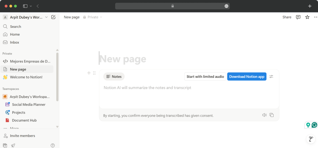 Data Summarization in Notion AI