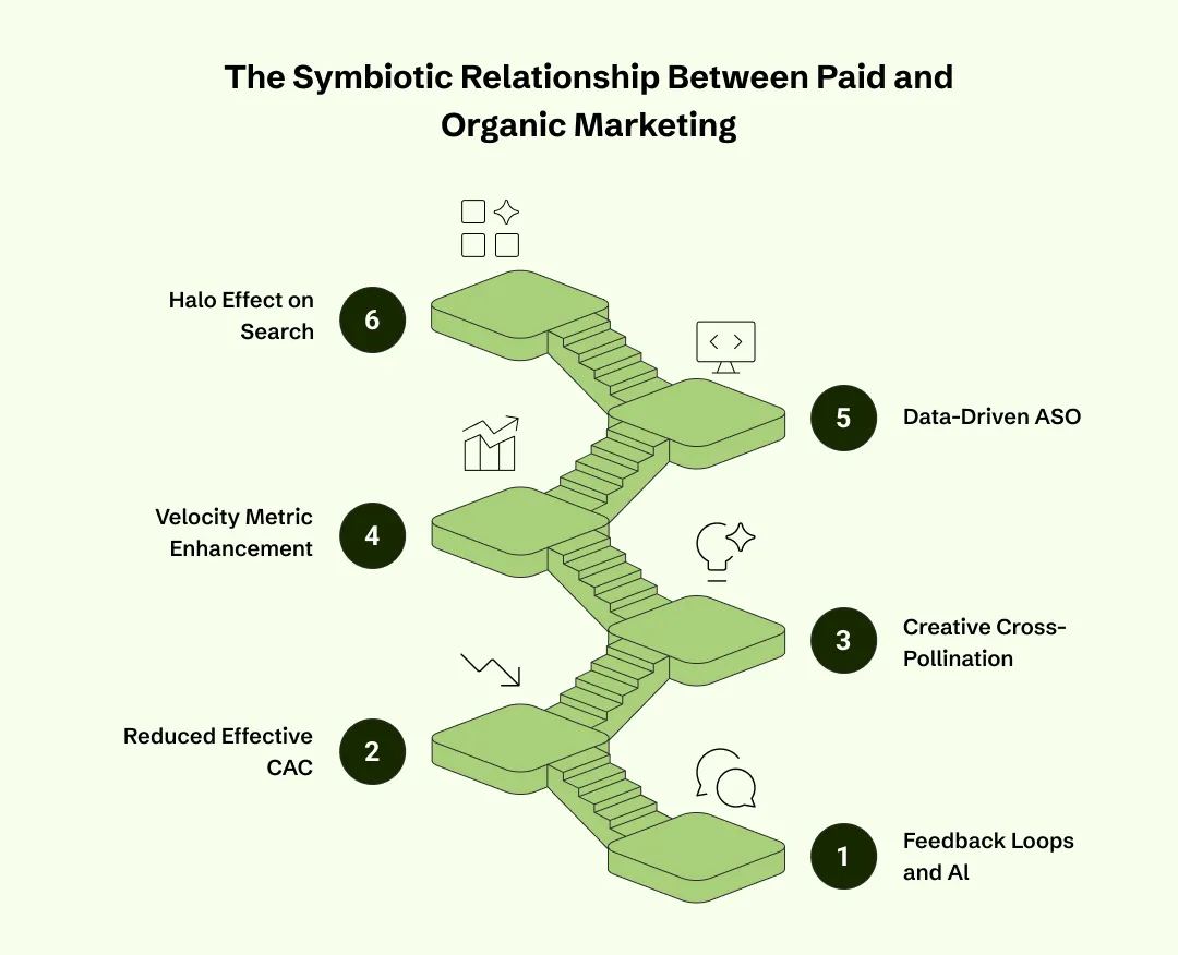 How Paid Feeds Organic (and Vice Versa)