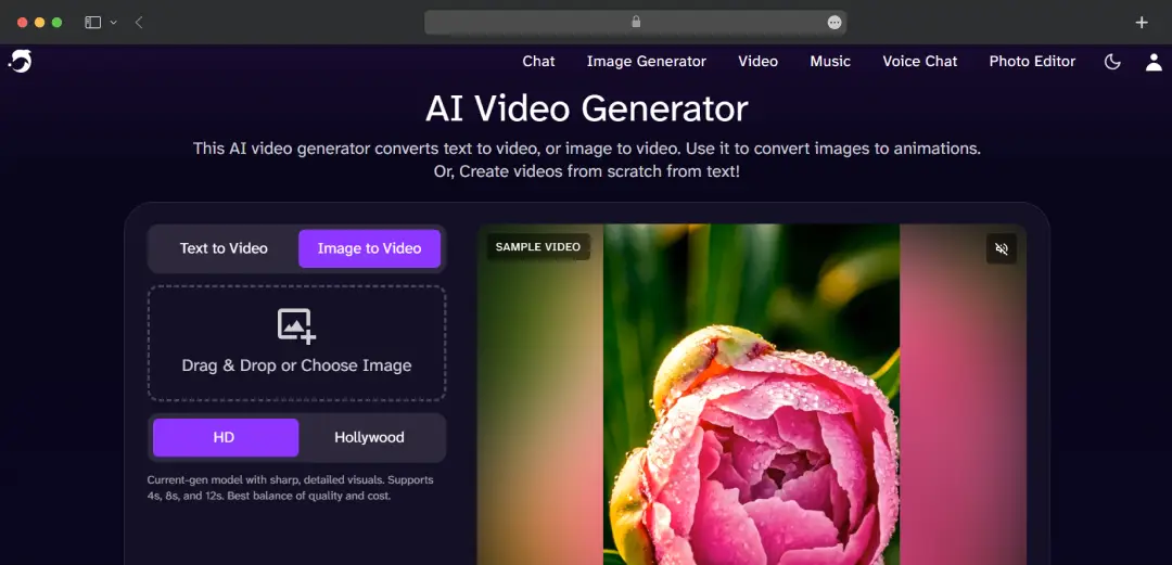 Image Generation & Editing Suite