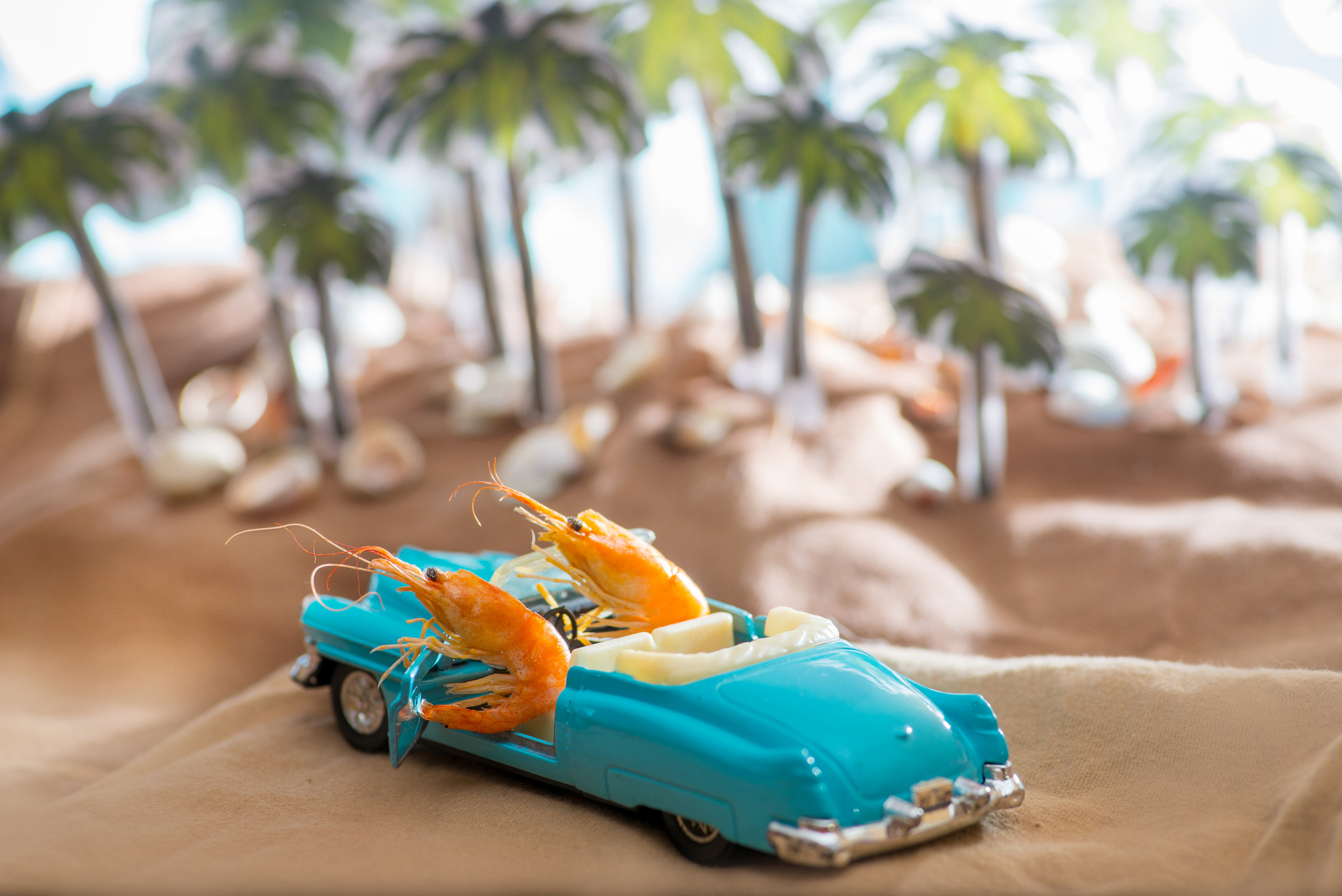 iStock-1144859308_%281%29.jpg