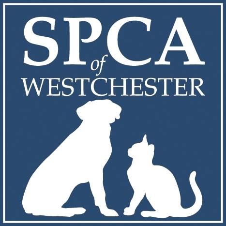 SPCADogWalk24