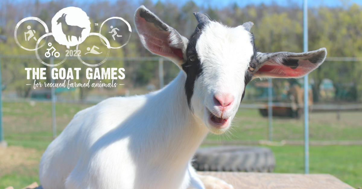 The Goat Games