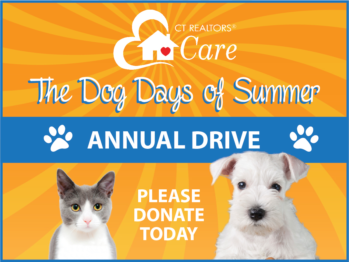 DogDaysOfSummer-Givesmart image