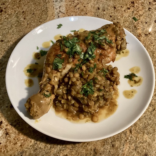 Modernmeal Rfissa