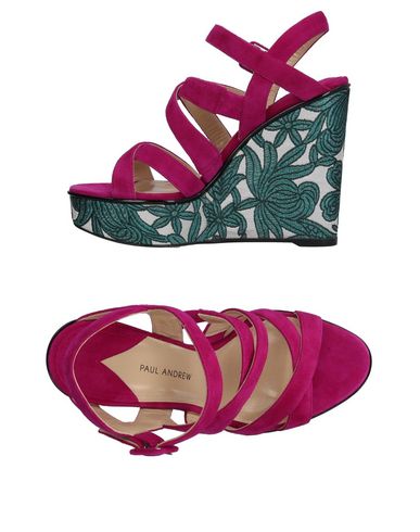 PAUL ANDREW PAUL ANDREW