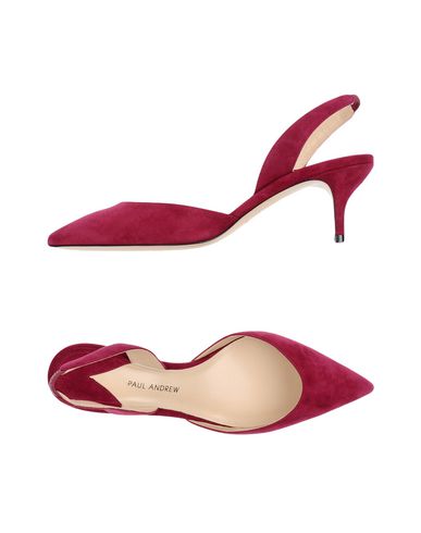 PAUL ANDREW PAUL ANDREW