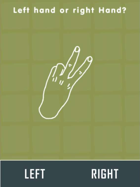 LeftRightHand