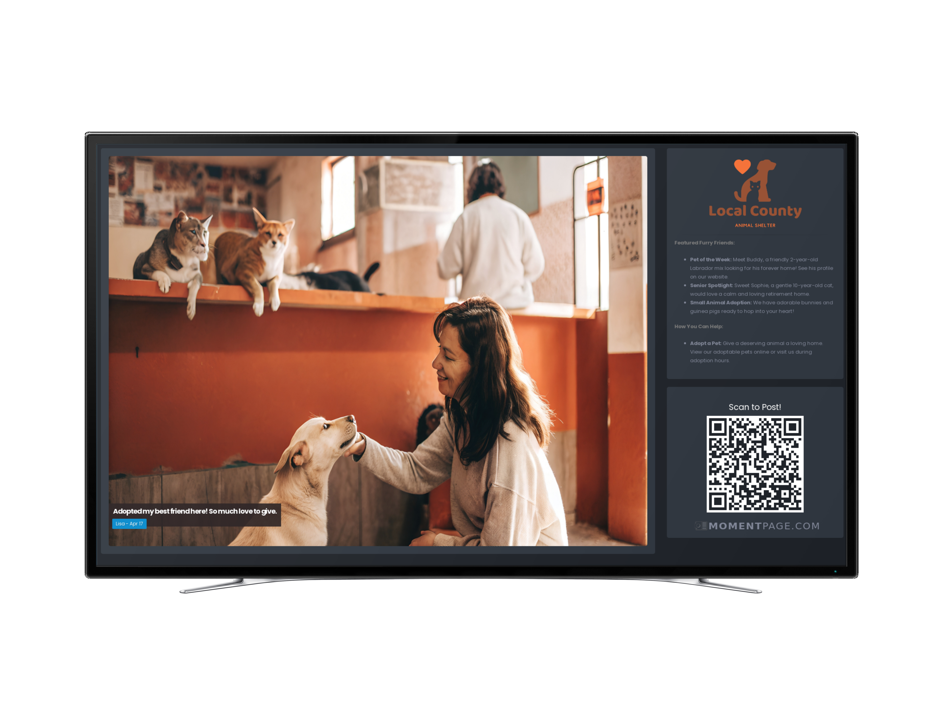 Digital Signage for Animal Shelters and Veterinary Clinics pet2