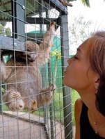 Tutor-in-westminster-serra-b-offers-grammar-lessons-and-spanish-lessons-f2ea410237d5-normal