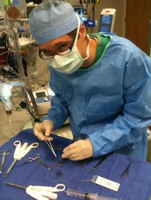 Tutor-in-maitland-bennett-g-offers-biology-lessons-vocabulary-lessons-grammar-lessons-d262cf2f728c-normal