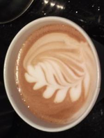 Tutor-in-austin-robert-h-offers-biology-lessons-vocabulary-lessons-grammar-lessons-r-495f2e57de8a-normal