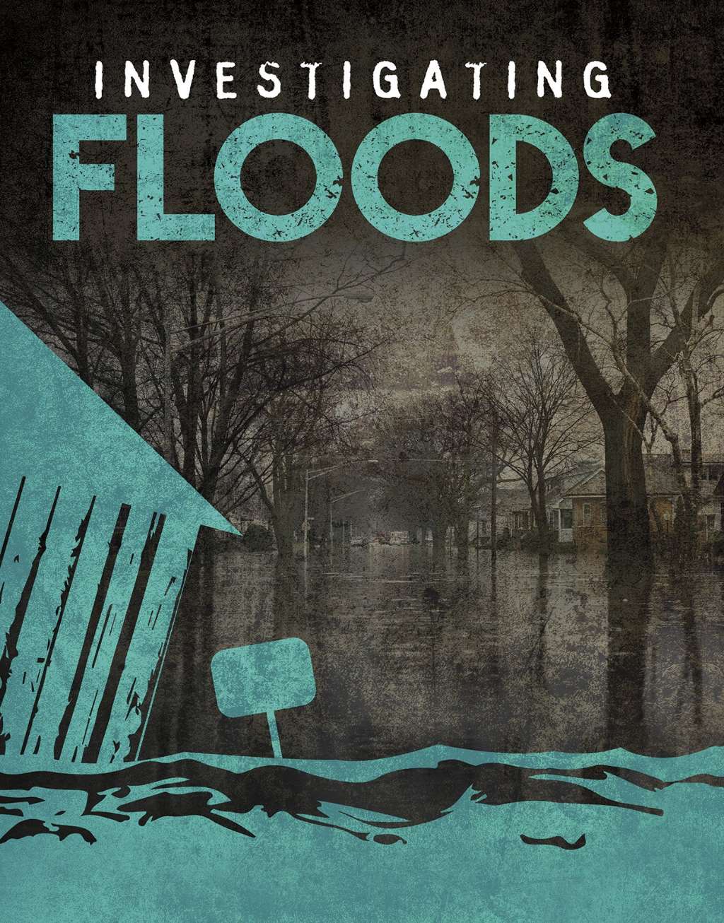 Investigating Floods (Edge Books: Investigating Natural Disasters)