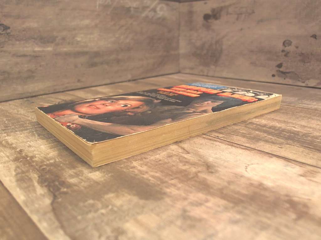 Bruce Lee: The Man Only I Knew by Linda Lee by Warner Paperback