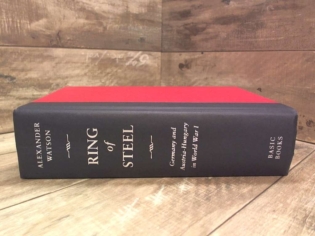 Ring of Steel: Germany and Austria-Hungary in World War I by