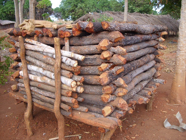 Better-built goat corral helps decrease attacks by lions and leopards. Photo by: Niassa Carnivore Project.