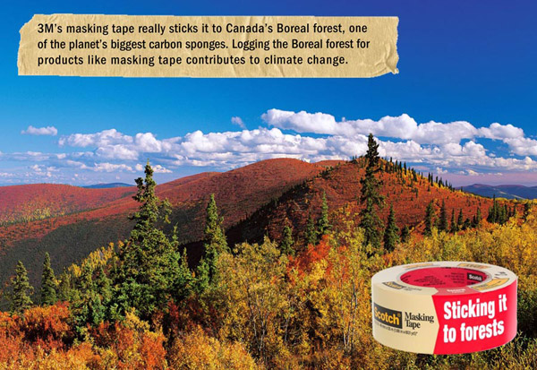 Material from ForestEthics campaign against 3M's forest policy. Image courtesy of ForestEthics.