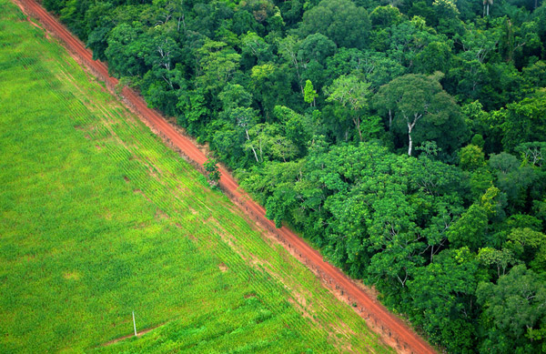An aerial shot shows the contrast between forest and agricultural landscapes near Rio Branco, Acre, Brazil. Photo by Kate
Evans for Center for International Forestry Research (CIFOR).