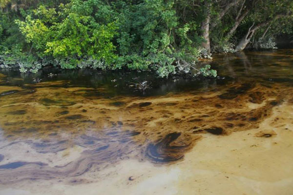 Oil stains the waters of the Sundarbans. Photo by: Mowgliz Elisabeth Rubaiyat.