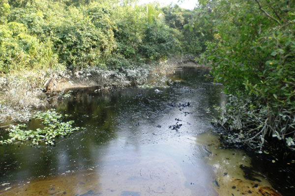 With the government doing little to stop it, the oil has spread around 350 square kilometers. Photo by: Kallol Mustafa.