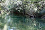Rio Formoso in Bonito