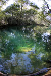 Fish in a pool in the Rio Formoso [bonito_0158]