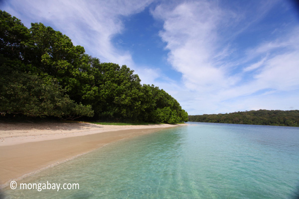 Beach on Peucang Island, West Java.