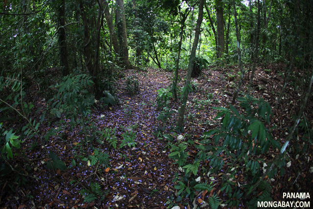 download SpeakOut: The Step-by-Step Guide to