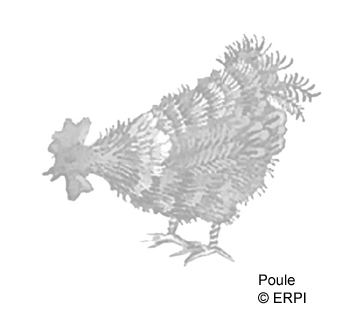 Enlarge image surlapiste2_nfrance_1645_.jpg