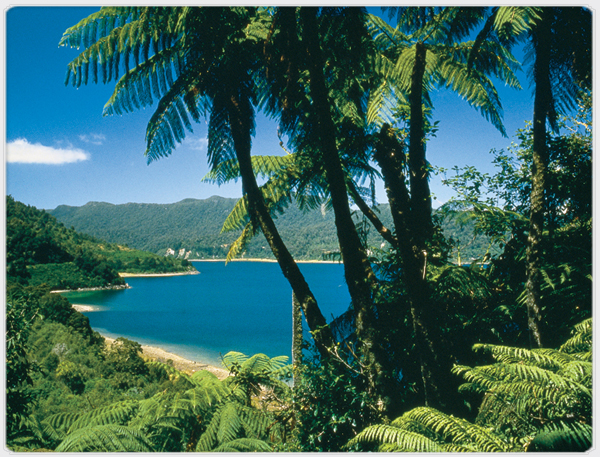 St Lucia