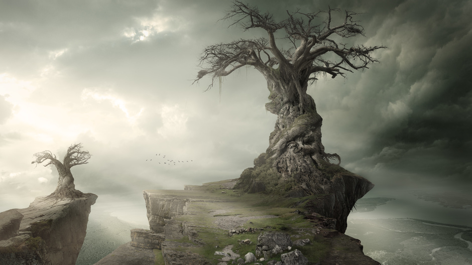 Wisdom trees